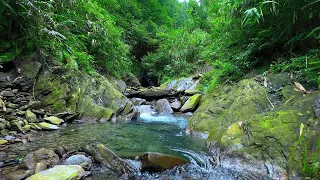 calm mountain river. Nature Sounds for Deep Sleep, Relaxing White Noise, Meditation, Study, ASMR