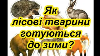 Як тварини готуються до зими? Тварини восени. Відеопрезентація