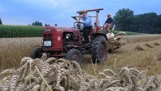 Historischer Feldtag - Getreide-Ernte u. Dreschen