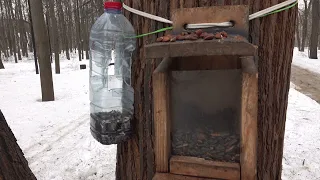 Покрасили мою кормушку / They painted my feeder