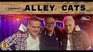 (three) ALLEY CATS   ★★★   Café Wilhelmina Eindhoven