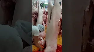 Swine Slaughtering