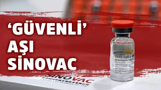 Türk Toraks Derneği yaptığı araştırmalarla Sinovac aşısını güvenli olarak belirledi