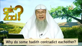 Why do some hadiths contradict eachother? - Assim al hakeem