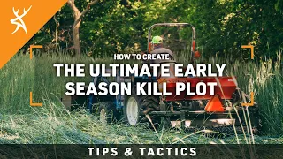 How To Create the Ultimate Early Season Kill Plot with Evolved Mean Bean Pro