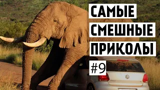 Самые смешные приколы #9 SELECTION OF FUNNY VIDEOS,ЛУЧШАЯ ПОДБОРКА,СМЕШНОЕ ВИДЕО, ПРИКОЛЫ INSTAGRAM