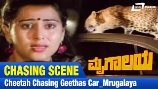 Mrugalaya -- ಮೃಗಾಲಯ | |Cheeta Chasing Geethas Car|FEAT. Ambarish, Geetha