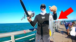 Using GIANT Bait for Pier MONSTERS!! Biggest of My LIFE!!