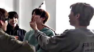 Jin's birthday celebration!🐿️🐨