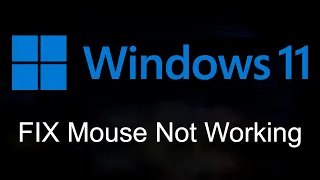 Usb Mouse Not Working Windows 11 | Mouse Not Working in Windows 11 FIX