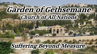 Garden of Gethsemane, Church of All Nations, Christ Suffering & Arrest, Mount of Olives, Jerusalem