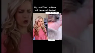 Doctor reacts: Dangerous cat bites? #shorts
