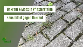 Unkraut & Moos aus Fugen und Pflastersteinen entfernen | Hausmittel gegen Unkraut | Gartentipps