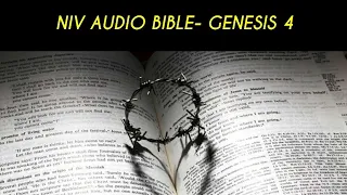 GENESIS 4 NIV AUDIO BIBLE (with text)