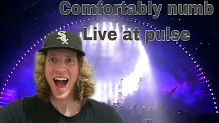 Best live song I have heard in my life.Teenager reacts to comfortably numb by Pink Floyd live pulse