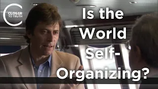 Max Tegmark - Is the World Self-Organizing?