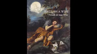 Birds On a Wire | Tonada de luna llena (Official Audio)