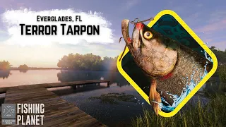 Terror Tarpon - Everglades, FL | Fishing Planet