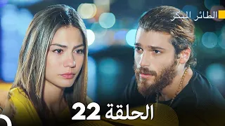 مسلسل الطائر المبكر الحلقة 22 (Arabic Dubbed)