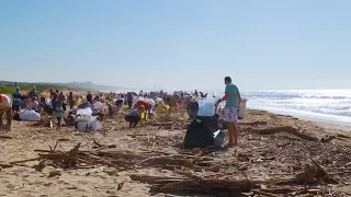 Durban Green Corridors Beach Cleanup