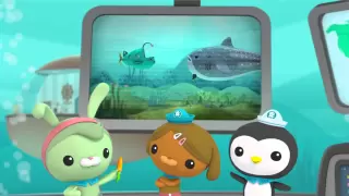 Creature Report - The Octonauts