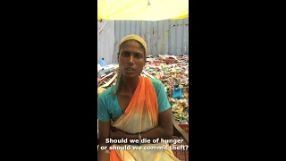Delhi's 80 foot garbage mountain collapses and now waste pickers have no jobs