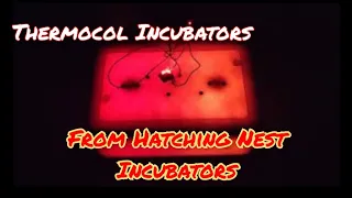 Hatching Nest ல தெர்மோகோல் incubators!!! | TFO Farm channel