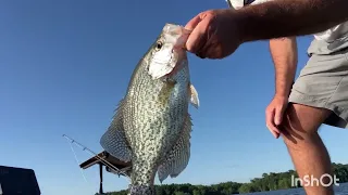 Summer Crappie Lake Marion 2024
