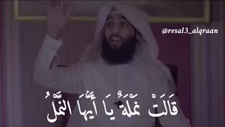 مخاوفك أنت يعلمها الله ||الشيخ أحمد حمادي