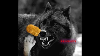 FEROCIOUS WOLVES DEVOUR NUGGETS BY 45 AND JOKIC FANS NEED TO STOP BLAMING JAMAL MURRAY FOR LOSS!!!