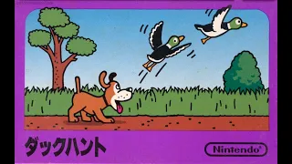 Duck Hunt