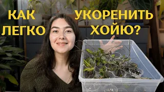 САМЫЙ быстрый СПОСОБ УКОРЕНЕНИЯ хой | обзор НОВЫХ цветочных ГОРШКОВ