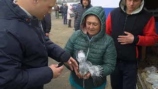 Орловская Ярмарка-Выставка породной Птицы ,голубей и кроликов 16 Апреля 2022