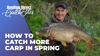 How To Catch More Carp In Spring - Carp Fishing Quickbite