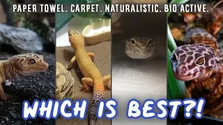 Which Setup Is Best For Leopard Geckos? - Paper Towel, Carpet, Naturalistic or Bio Active 🌵