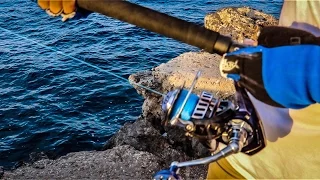 A Daiwa Saltiga 8000 getting smoked by an unstoppable fish.