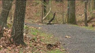 UA Little Rock student and his dog encounter rattlesnake den on hike