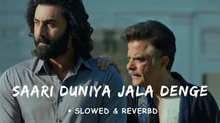 Saari Duniya Jalaa Denge - Lofi (Slowed & Reverb) || Ranbir Kapoor || B Praak, Jaani || Animal