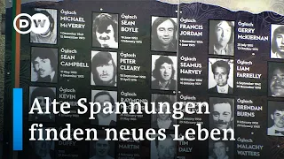 Unsicherheit über die Grenze zwischen Nordirland und Irland | Fokus Europa