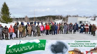 12.03.2016 Мормышка - 2016 в с. Елгань