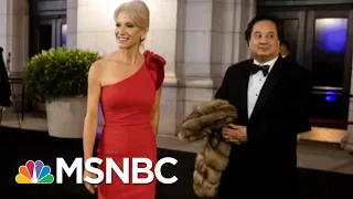 The Bizarre World Of Kellyanne Conway & George Conway | Deadline | MSNBC