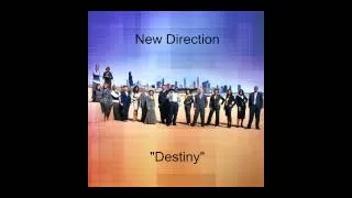 New Direction- "Destiny"