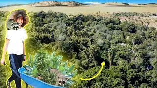 17 Year Old Grows Food Forest In The Desert With A Racoon!