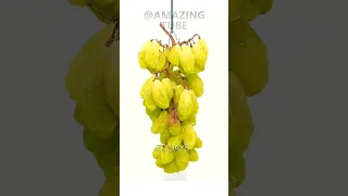 Grapes In 40 days  #timelapse