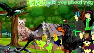 dab neeg keeb kwm aub miv qaib yog phooj ywg zoo thaum ub 2023    10    10