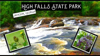 HIGH FALLS STATE PARK Georgia | Travel Guide | Fishing Hiking Camping in Georgia