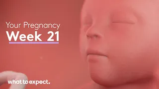 21 Weeks Pregnant - What to Expect