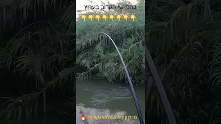 מרתון דיג בשלוש נקודות 🔥 פרומו ליום משוגע של דיג 💪