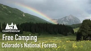 Free Camping in Colorado’s National Forests