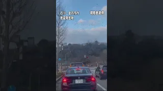 【地震の瞬間】金沢城の石垣崩れる…大きく揺れる車瞬間映像　能登半島地震　#shorts #地震　#瞬間映像